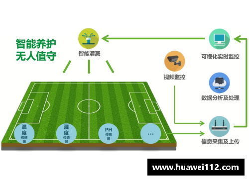 球场风云：颠覆惯例！一次性处罚多人刷新纪录